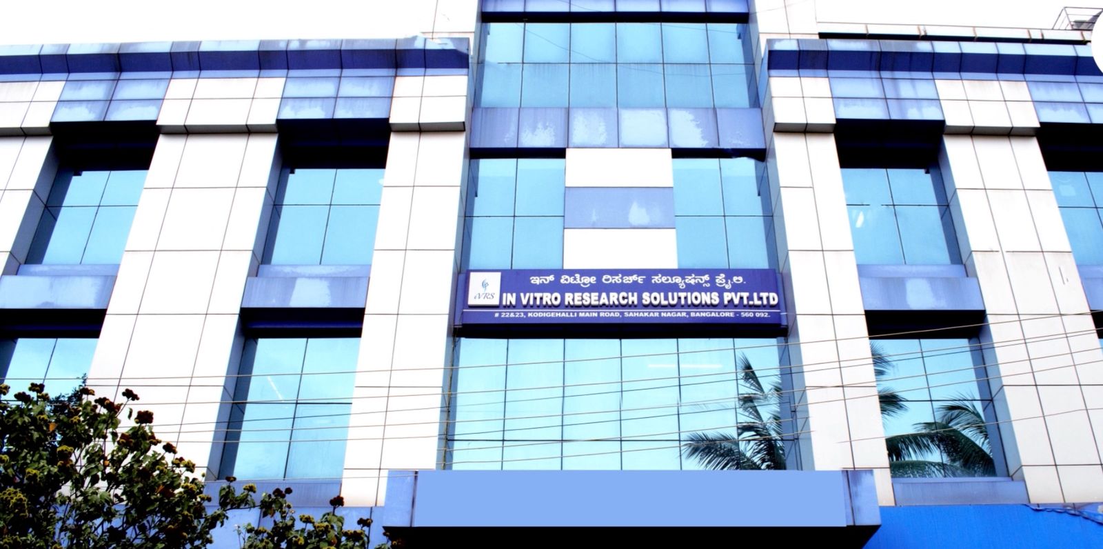 «ПОЛИСАН» запускает международное клиническое исследование препарата «Цитофлавин®» при диабетической полинейропатии